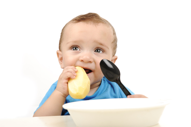 Чем полезен картофель для ребенка: химический состав продукта, рекомендации по употреблению и рецепты полезных блюд, когда вводить овощ в рацион малыша и в каких количествах