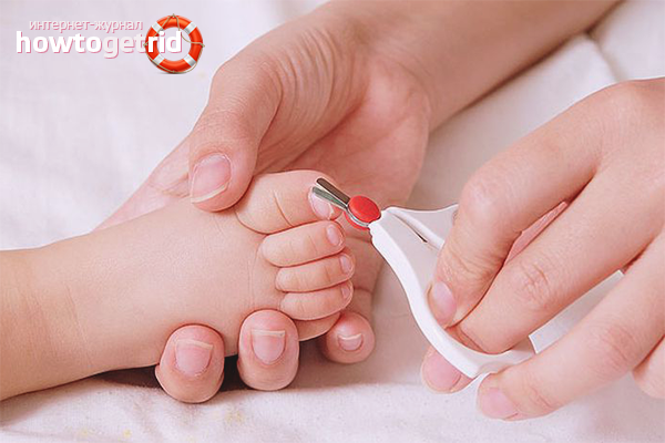 Когда начинать стричь ногти новорожденному: лучшее время и оптимальная форма, выбираем правильный и безопасный инструмент, подготовка к процедуре и техника безопасности
