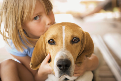 Собака ревнует к ребенку: причины и признаки нежелательного поведения, меры предосторожности, как подготовить животное к появлению малыша в доме