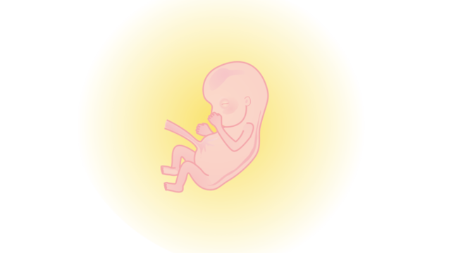 10 неделя беременности: фото живота и развитие плода, ощущения мамы и возможные боли