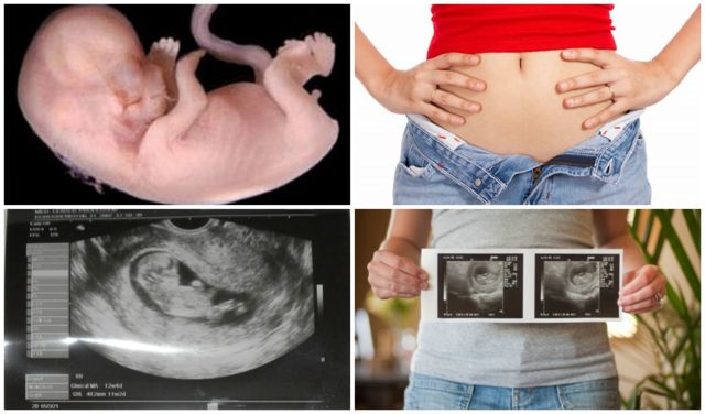 11 неделя беременности: что происходит в организме мамы и как развивается плод?