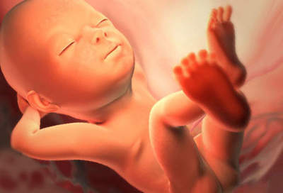 29 неделя беременности: настроение будущей мамы и изменения в организме, рост и размеры плода