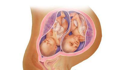 29 неделя беременности: настроение будущей мамы и изменения в организме, рост и размеры плода