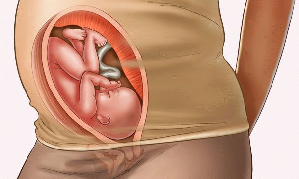 30 неделя беременности: трудности вынашивания и полезные советы будущей маме, развитие плода и шевеления