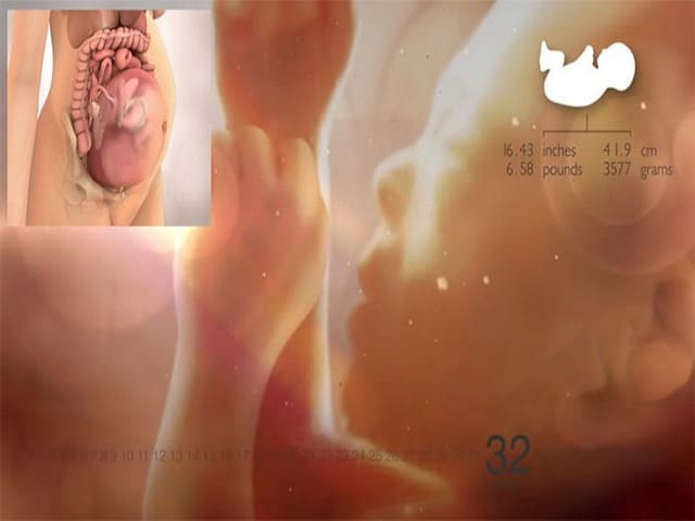 32 неделя беременности: самочувствие и ощущения мамы, развитие плода