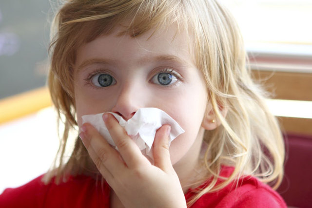 Аллергены дома: как предотвратить аллергию на пыль, на плесень, шерсть животных, краску