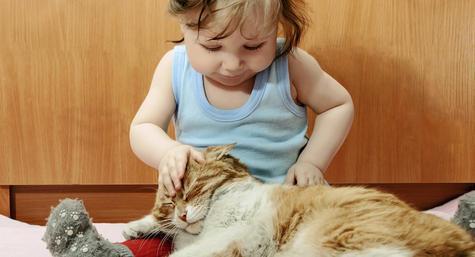 Аллергия на домашних животных: симптомы у взрослых, детей и грудничков, эффективные методы лечения