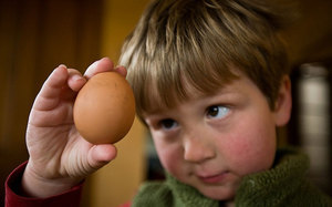 Аллергия на яйца: симптомы у взрослых и детей, методы диагностики и лечения