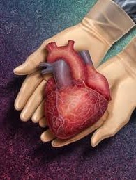 Амилоидоз сердца: провоцирующие факторы, клинические проявления, диагностика и способы лечения