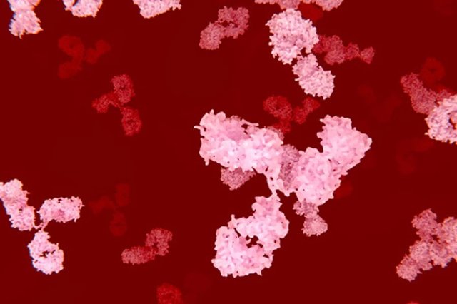 Анализ крови на сифилис: расшифровка результатов, показатель суммарных антител к t.pallidum
