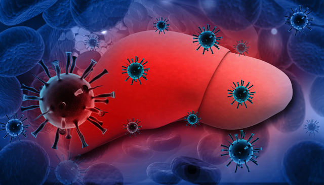 Анализы для диагностики гепатита: перечень исследований, особенности подготовки, расшифровка результатов