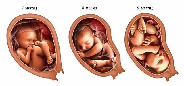 Анализы при беременности: важность диагностики, список исследований по срокам, расшифровка результатов