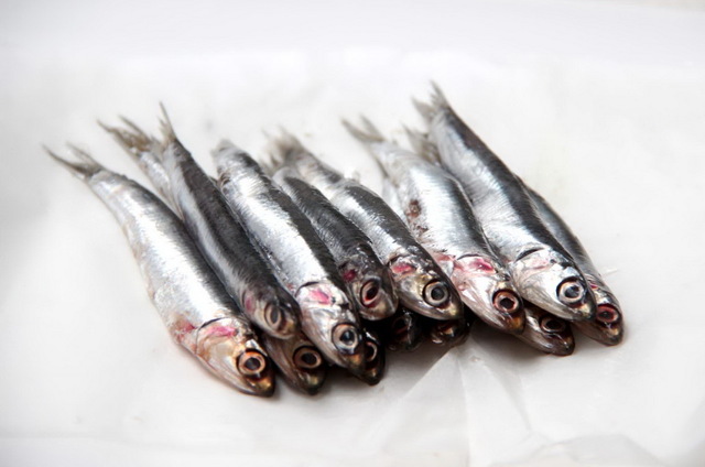 Анчоусы: влияние на организм и полезные свойства рыбы, формы заготовления и простые рецепты
