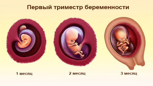Антигриппин: инструкция по применению, аналоги, можно ли при беременности