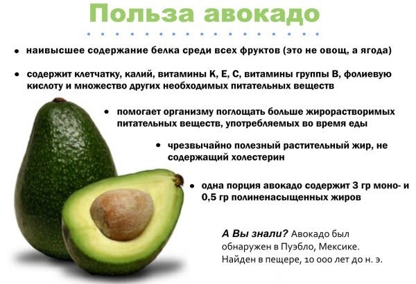Авокадо: состав, пищевая ценность, польза и вред для организма, правила выбора и хранения