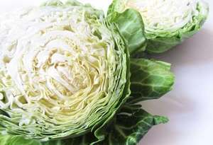 Белокочанная капуста: полезные свойства и противопоказания, сферы применения овоща