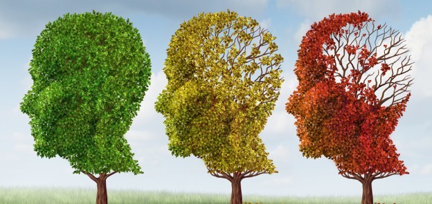 Болезнь Альцгеймера: причины возникновения, диагностирование и лечение, прогноз для жизни