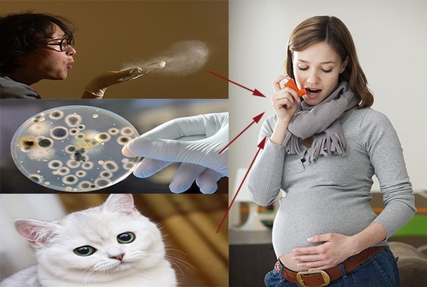 Бронхиальная астма при беременности: факторы риска, влияние на плод, особенности лечения