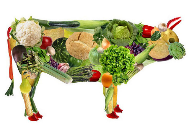 Чем заменить мясо вегетарианцу: какие продукты насыщены полезными элементами?