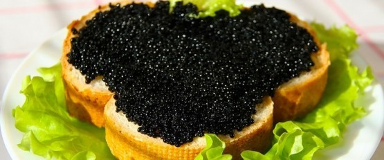 Черная икра – польза и вред, пищевая ценность, химический состав, правила выбора продукта