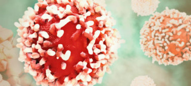 Что показывает анализ крови на онкомаркеры: виды и расшифровка исследования