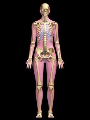 Что такое сцинтиграфия костей и органов: особенности метода, причины назначения, ограничения к проведению, ход процедуры