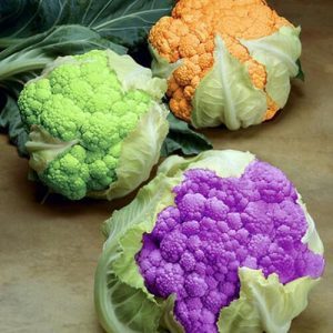 Цветная капуста: состав, полезные и вредные свойства, пищевая ценность