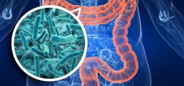 Дисбактериоз кишечника: причины возникновения, характерные симптомы и методы лечения