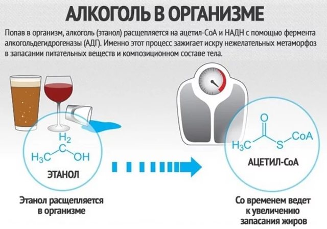 Эфедрин и алкоголь: влияние спиртного в комбинации с лекарственным средством на организм