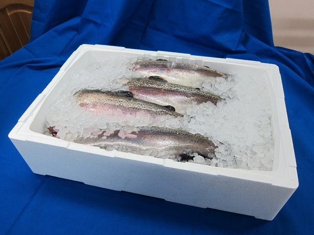 Форель: польза и вред для организма, пищевая ценность продукта, советы по приготовлению рыбы