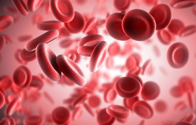 Гемолитическая анемия по анализу крови: причины заболевания, сопутствующие симптомы, варианты терапии