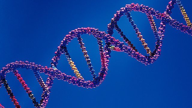 Генетический тест ДНК: назначение, правила сдачи, выявляемые с его помощью заболевания