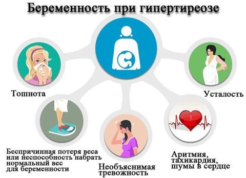 Гипертиреоз при беременности: причины появления, симптомы, степень угрозы для плода