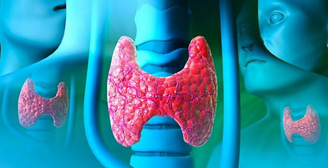 Гипоплазия щитовидной железы: лечение, признаки гипоплазии щитовидной железы у детей и взрослых