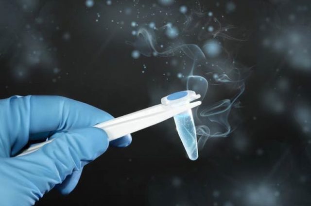Искусственная инсеминация, оплодотворение донорской спермой