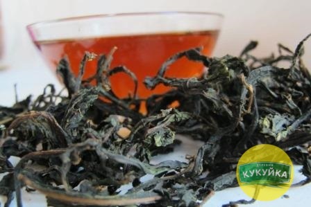Иван-чай: сведения о лекарственном растении, показания и противопоказания к применению, народные рецепты