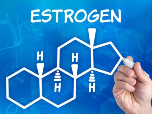 Избыток эстрогенов у женщин: влияние на организм, признаки повышенной нормы