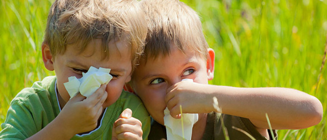 Как и какие аллергены исключить у ребенка?
