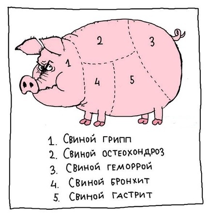 Как лечить свиной грипп (Swine influenza): симптомы