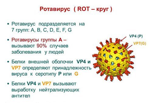 Как передается ротавирус