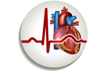 Как расшифровать экг сердца и диагностировать патологии сердца по экг