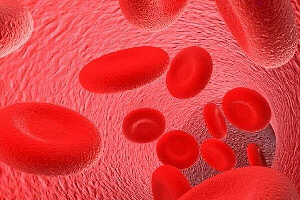 Как разжижать кровь при высоком гемоглобине?