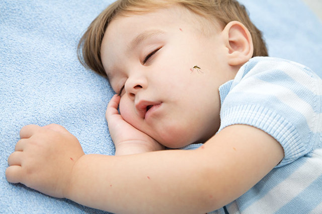 Как защитить ребенка от укусов комаров: аптечные и народные средства детям до года и старше