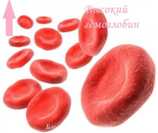 Какие продукты понижают гемоглобин в крови: причины повышения гемоглобина и принципы диетического питания для снижения уровня гемоглобина.  