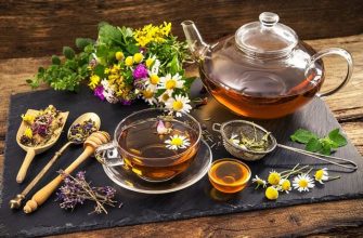 Какой чай пить при беременности: полезные травы и чайные сорта, противопоказания и показания к употреблению, рекомендованная доза напитка