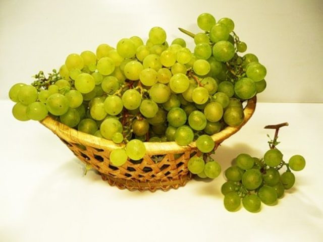 Кишмиш – полезные свойства и химический состав винограда, противопоказания к употреблению