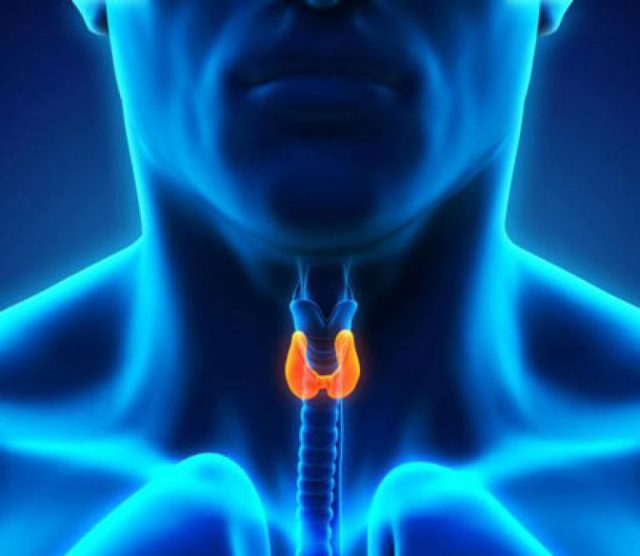Киста щитовидной железы: что это, причины образования, симптомы и лечение
