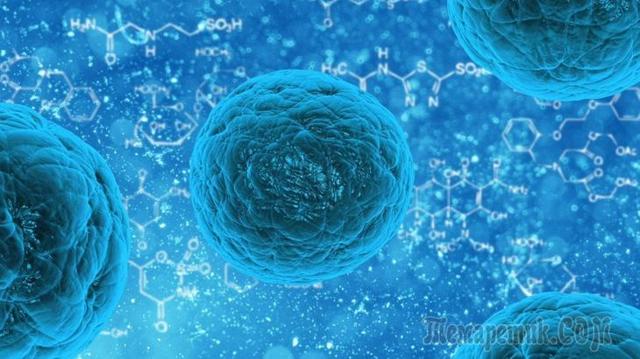 Клеточное омоложение стволовыми клетками: особенности процедуры, преимущества и недостатки, техника проведения, ожидаемый эффект