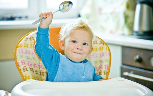 Когда приучать ребенка к ложке: выбор столового прибора и пошаговое руководство для родителей и правильный возраст обучения