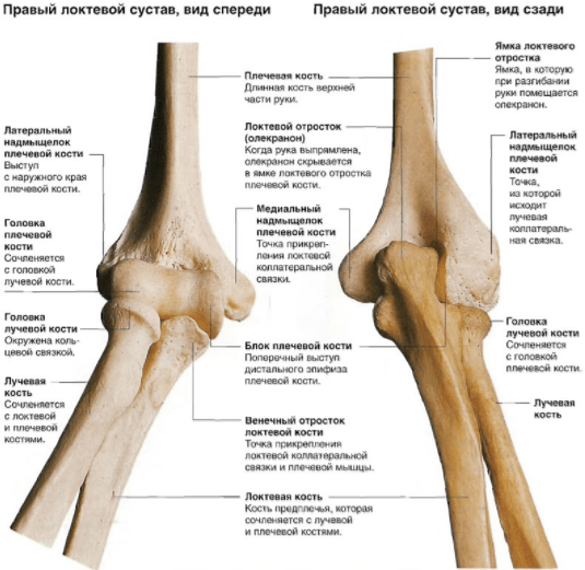 Контрактура локтевого сустава: характерные симптомы, лечение после перелома, комплекс упражнений